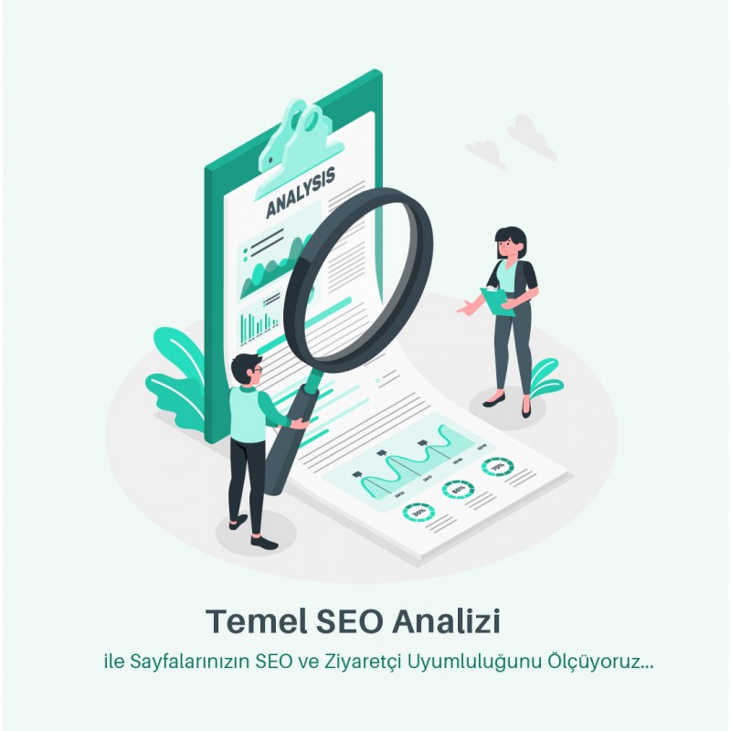 Standart SEO CheckUP